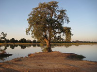 Mare aux crocos