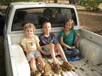 Assis dans le pick-up
